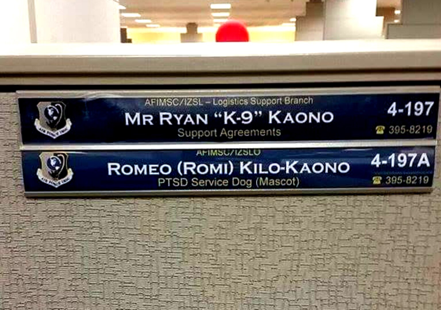 Ryan Kaono's work area at the Air Force Installation and Mission Support Center clearly shows his cube mate and service dog Romeo belongs there too.