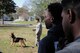 Students from the Charleston area watch as members from the 628th Security Forces Squadron demonstrate K9 operations during Tuskegee Airmen Career Day, Feb. 27, 2018 at Joint Base Charleston, S.C. (U.S. Air Force photo by SrA Jonathan Lane).