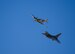 During the annual Heritage Flight Training and Certification course, aircrews practice ground and flight training to enable civilian pilots of historic military aircraft and U.S. Air Force pilots of current fighter aircraft to fly safely in formations together