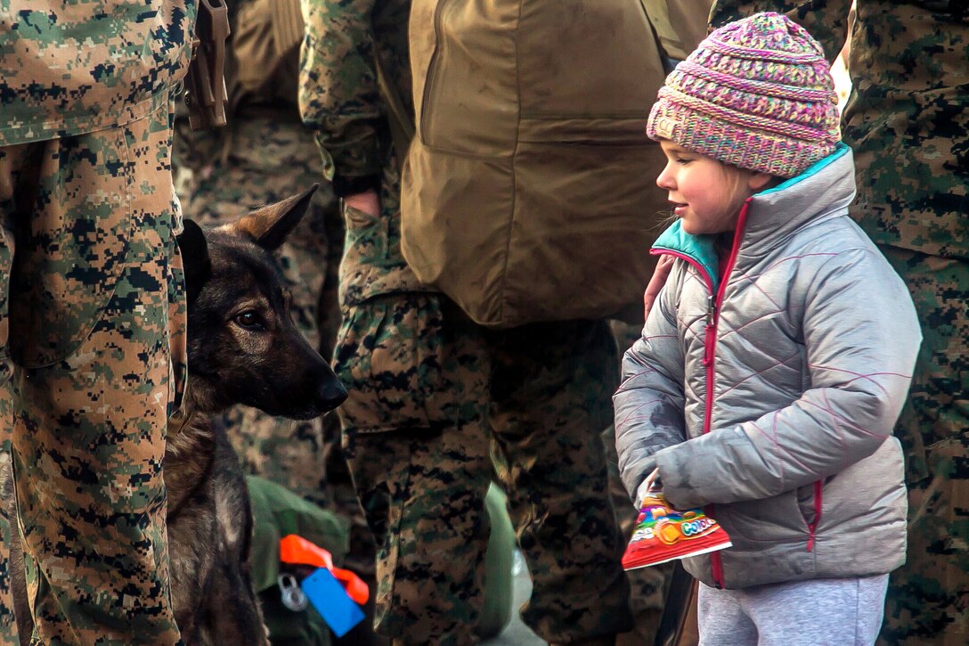 A child looks at a dog being held by a Marine.