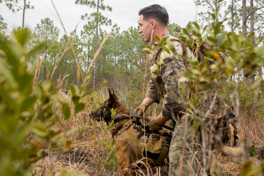 Canadian Special Forces Training