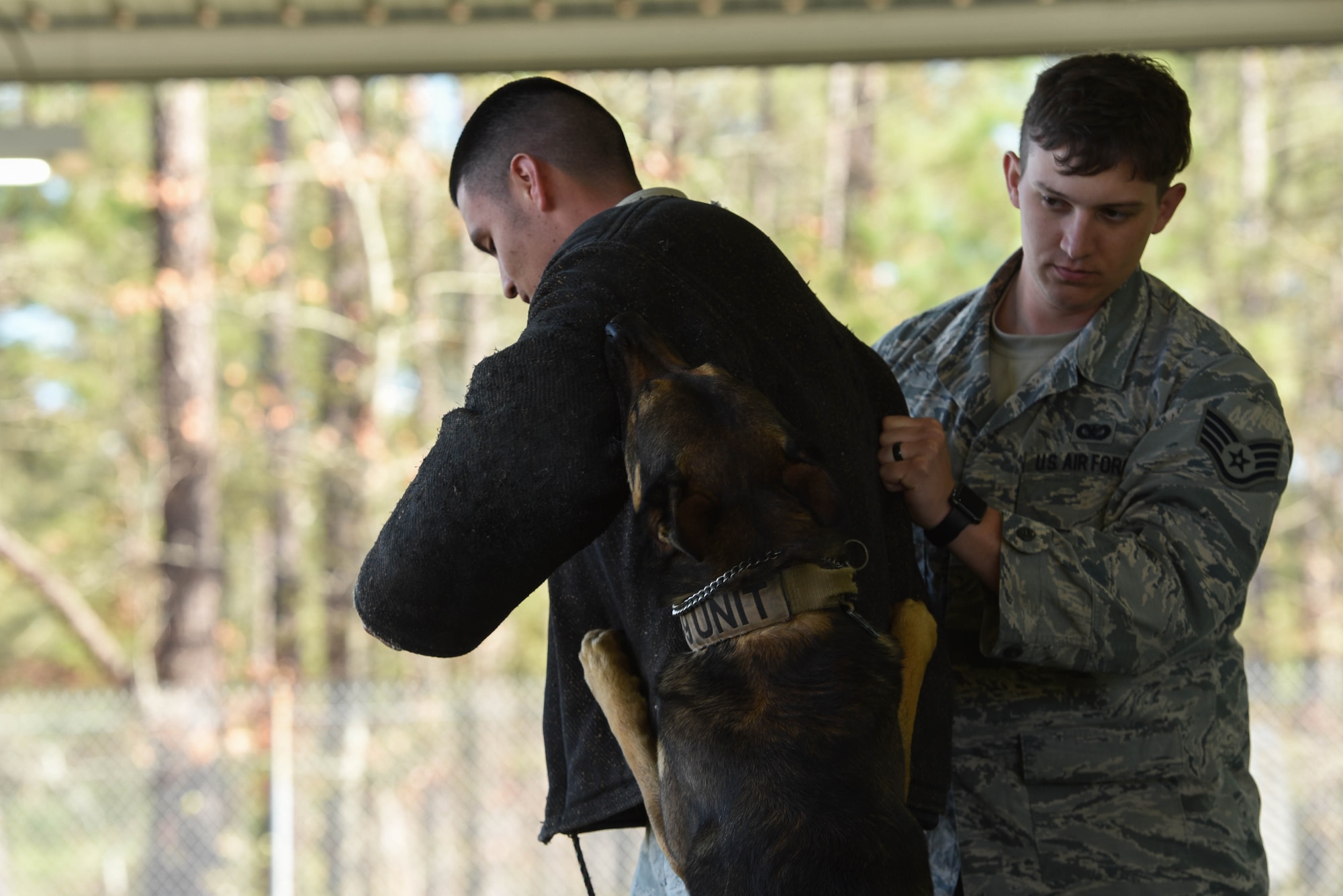 U.S. Air Force Senior Airman Juan Gamboa, 20th Security Forces Squadron (SFS) military working dog (MWD) handler, stands in a bite suit while MWD Kato bites his arm and Staff Sgt. Eric Sweat, 20th SFS MWD handler, holds his other arm at Shaw Air Force Base, S.C., Feb. 27, 2018.