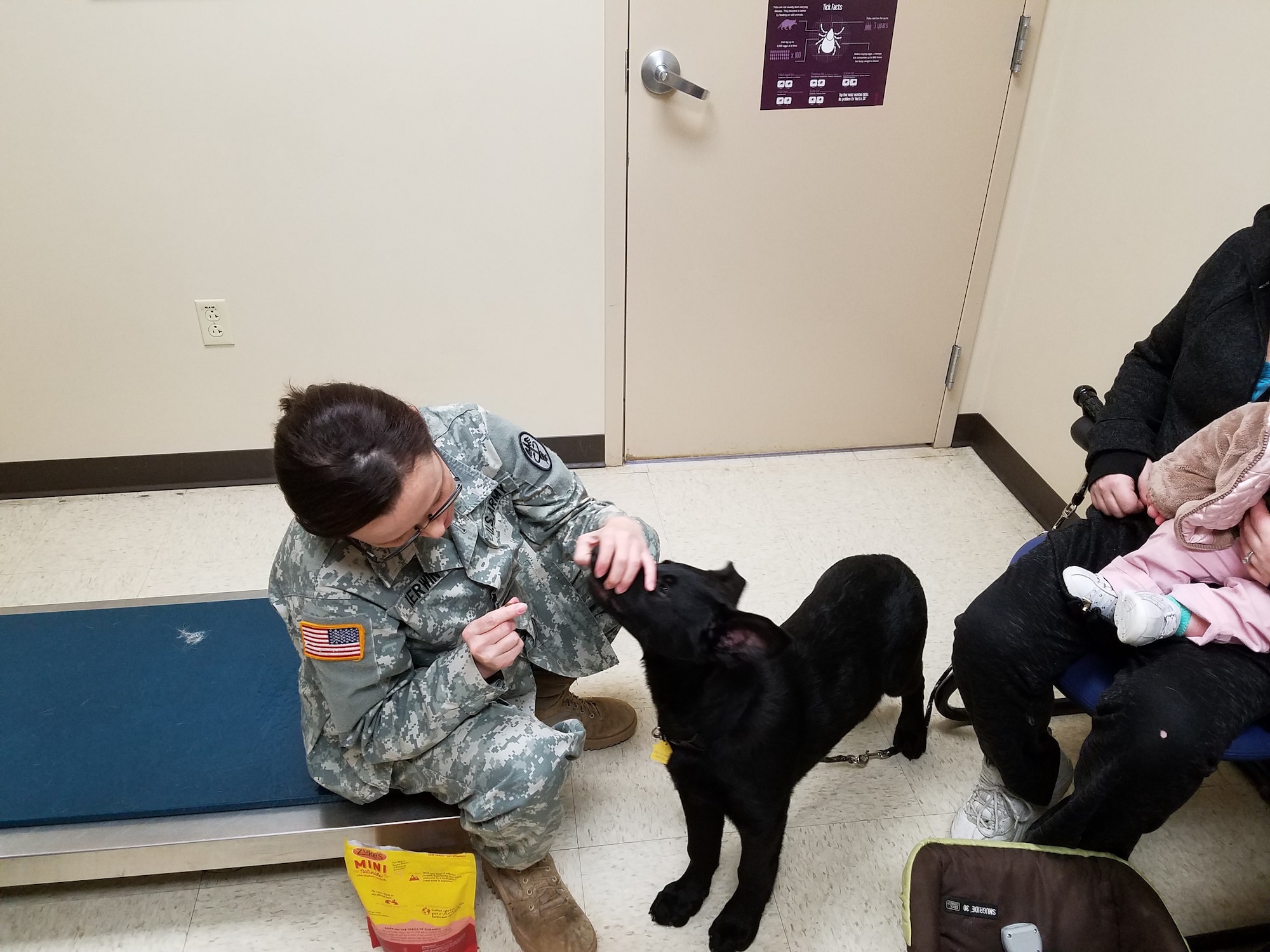 Capt. Cassandra Kerwin offers Sadie a treat so she can readily check his teeth. (U.S. Air Force photo/Laura McGowan)