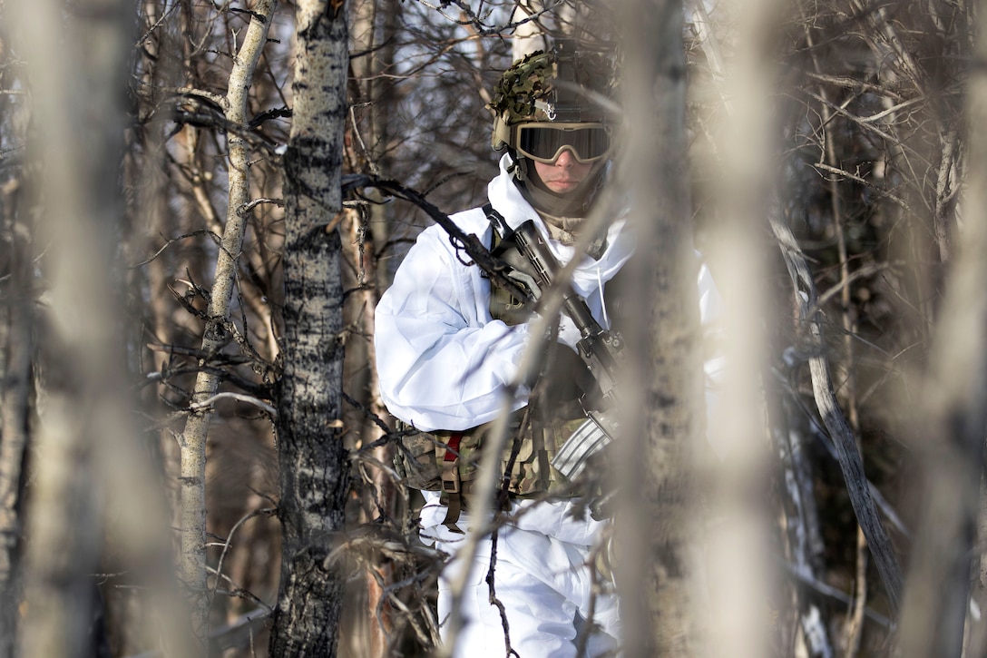 A soldier maneuvers through the woods to his next objective.