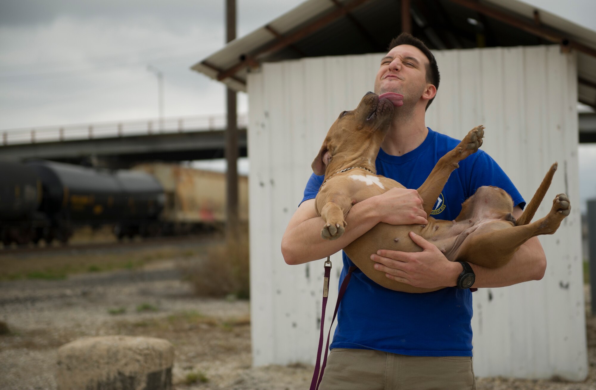 Second Lt. John Edel, 86th Flying Training Squadron student pilot, makes a new friend at an animal shelter in Del Rio, Texas, March 3, 2018. Edel was part of a group that took part in “STUS Serve Day,” where the 47th Student Squadron gathered nearly 500 volunteers to help at various locations around the community. (U.S. Air Force photo/ Airman 1st Class Benjamin N. Valmoja)