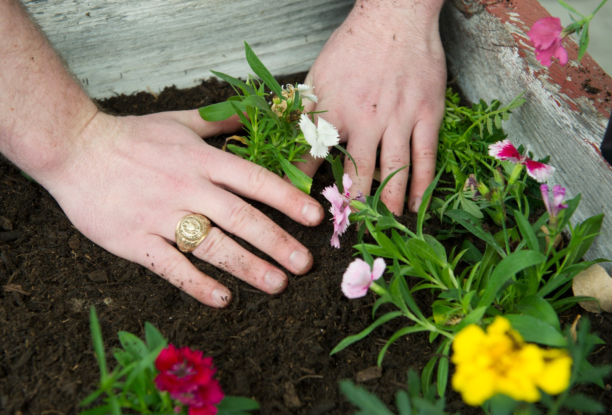 A volunteer from the 47th Student Squadron tends to a newly planted flower in Del Rio, Texas, March 3, 2018. The 47th STUS held their Serve Day, where the members of the squadron joined forces to help at various locations around the community. (U.S. Air Force photo/ Airman 1st Class Benjamin N. Valmoja)