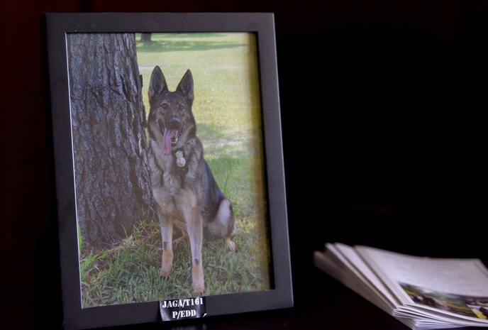 A photograph of Military Working Dog Jaga rests on the table at the MWD retirement ceremony Feb. 23, 2018, at the base theater.