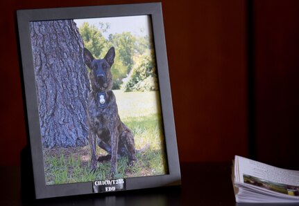 A photograph of Military Working Dog Chico rests on the table at the MWD retirement ceremony Feb. 23, 2018, at the base theater. Retirement ceremonies honors the service given to the military from its members, including MWDs