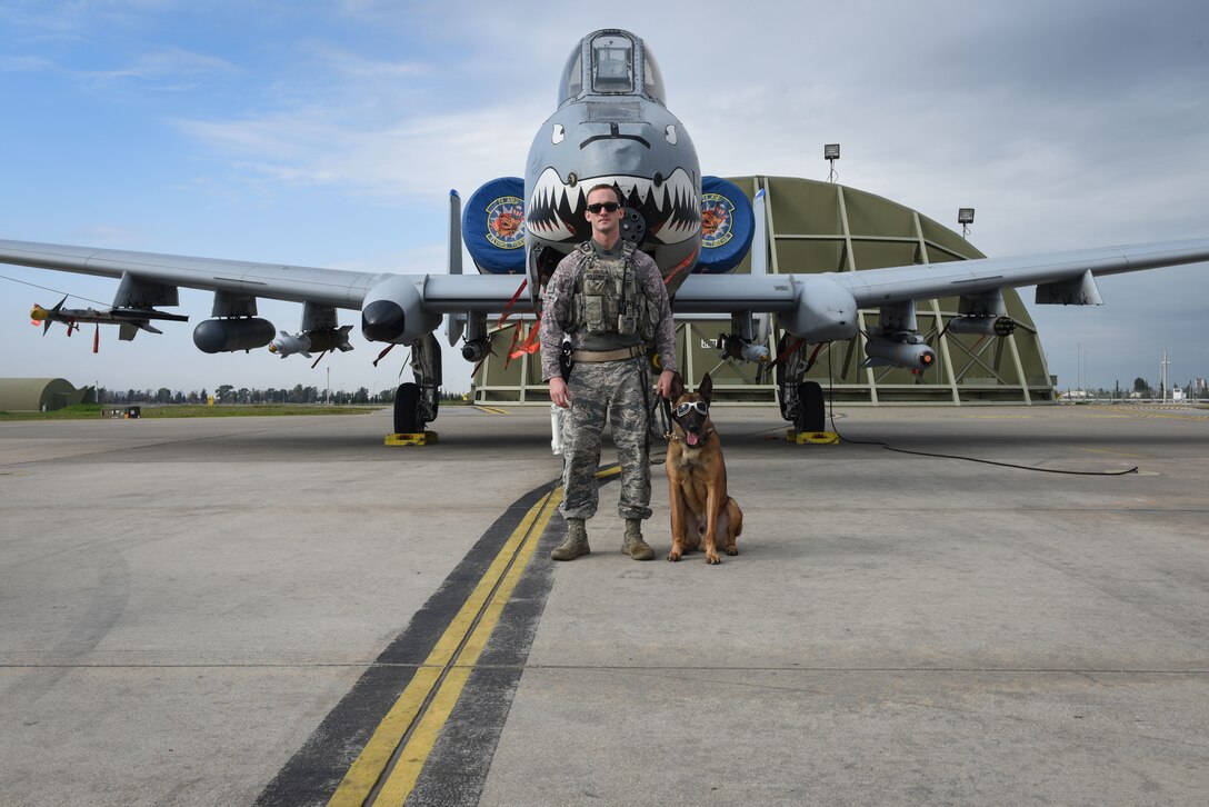 Across the Air Force, military working dogs provide base defense against threats while on patrol, such as drug and explosives detection. In honor of National K-9 Veteran's Day, here are some photo selects from Incirlik's MWD teams.