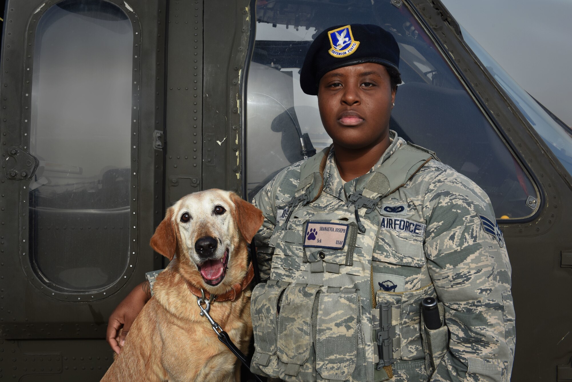 Across the Air Force, military working dogs provide base defense against threats while on patrol, such as drug and explosives detection. In honor of National K-9 Veteran's Day, here are some photo selects from Incirlik's MWD teams.