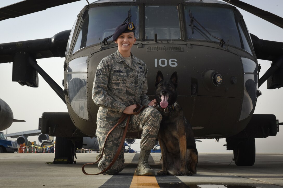 Across the Air Force, military working dogs provide base defense against threats while on patrol, such as drug and explosives detection. In honor of National K-9 Veteran's Day, here are some photo selects from Incirlik's MWD teams.