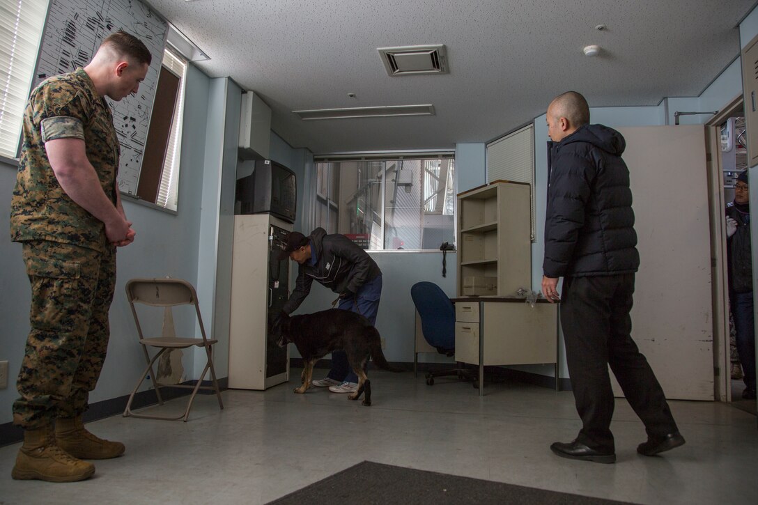 A Japan Maritime Self-Defense Force dog handler conducts a search at Marine Corps Air Station Iwakuni, Japan, March 12, 2018. The training brought Japanese K-9 handlers from the JMSDF Kure Repair and Supply Facility Petroleum Terminal unit and the Hiroshima Police Headquarters to the air station, where they practiced detecting explosives with K-9’s.