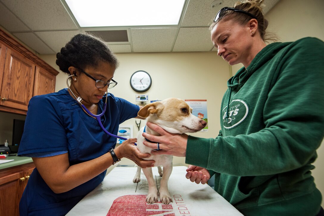 Jacinda Crawford, 23d Aerospace Medicine Squadron animal health assistant, left, checks the heart rate of ‘Troop’, March 6, 2018, at Moody Air Force Base, Ga.  The Veterinarian Clinic provides treatment and care for the Military Working Dogs stationed here while also providing the same care for personally owned animals. (U.S. Air Force photo by Airman Eugene Oliver)