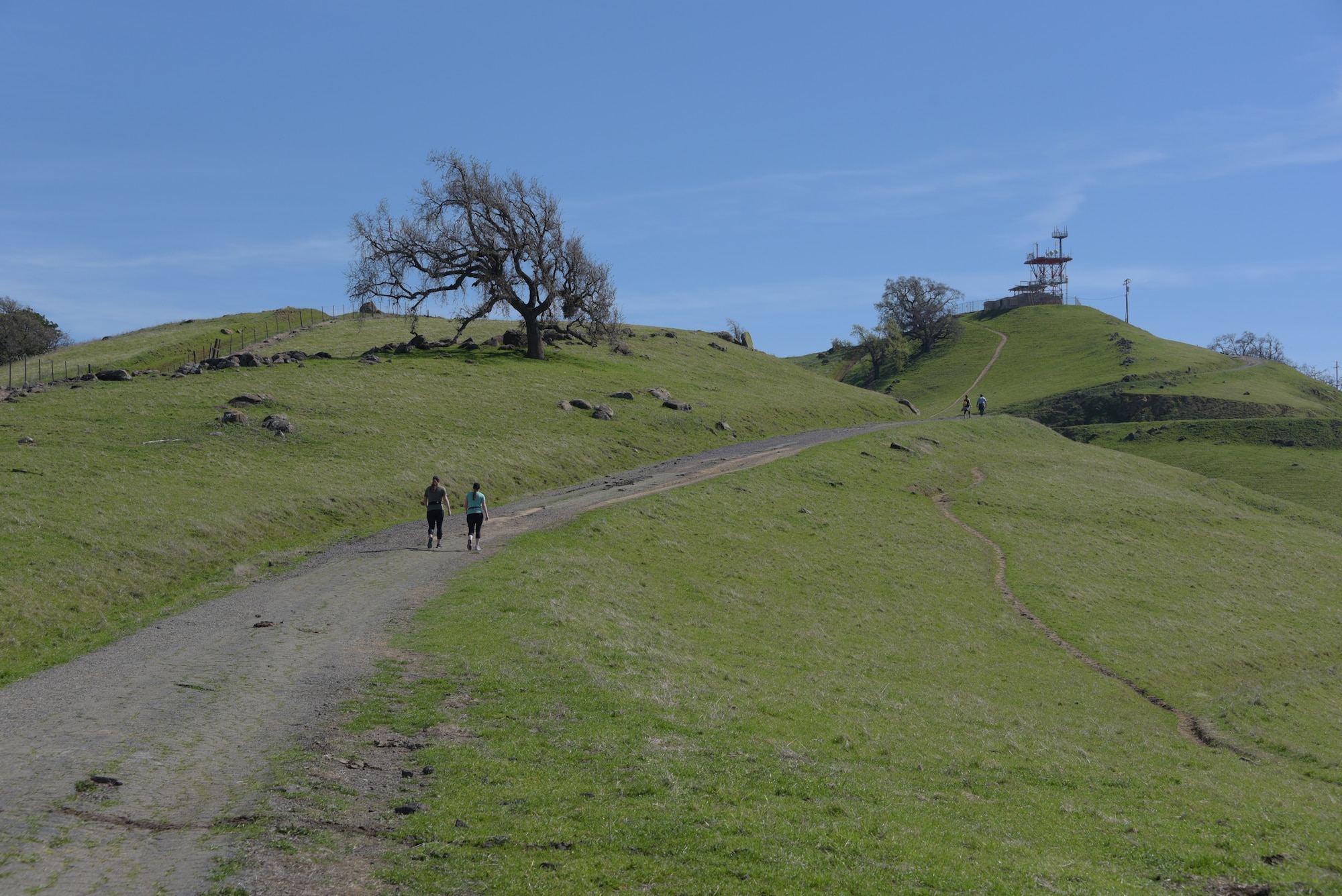 Tech. Sgt. Nikki Webb (Left), 60th Air Mobility Wing, hikes down a hill at Pena Adobe Regional Park in Vacaville, Calif., with her cousin, Senior Master Sgt. Jenny Hendry (Right), 60th Aeromedical Squadron, March 11, 2018. Hendry joined Webb on a 10-mile hike as she prepares for the Bataan Memorial Death March on March 25. (U.S. Air Force photo/Tech. Sgt. James Hodgman)