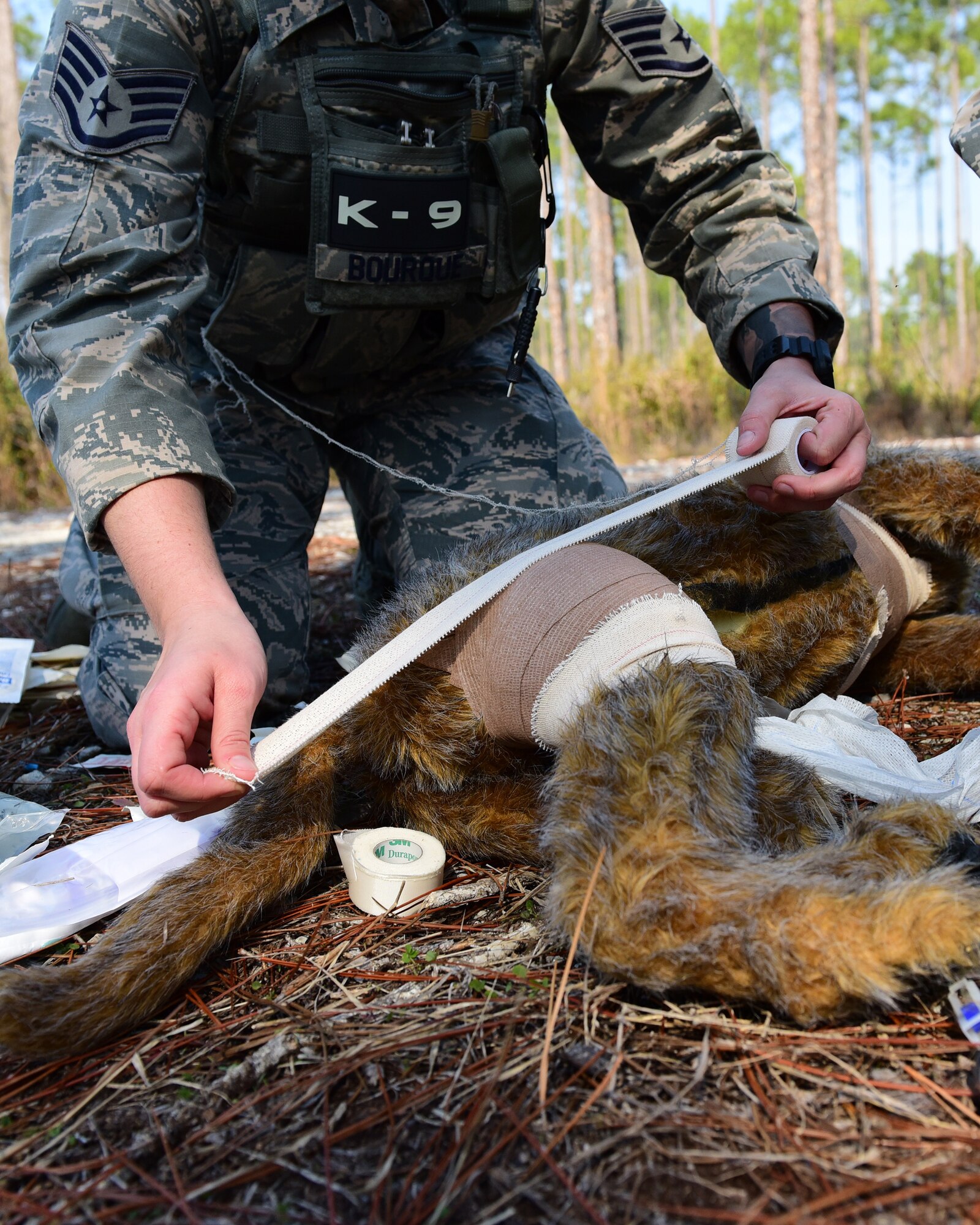 U.S. Air Force Staff Sgt. Caitlin Bourque, 325th Security Forces Squadron military working dog handler, receives instruction on first-aid for her dog during a patrol exercise at Tyndall Air Force Base, Fla., Jan. 25, 2018. Handlers view their dogs as their partner and are responsible for everything from basic feeding and exercise, to providing the dog with medical attention if it were ever harmed in combat. This unique relationship causes handler and dog to be in tune with one another and enhances their effectiveness. (U.S. Air Force photo by Senior Airman Cody R. Miller/ Released)