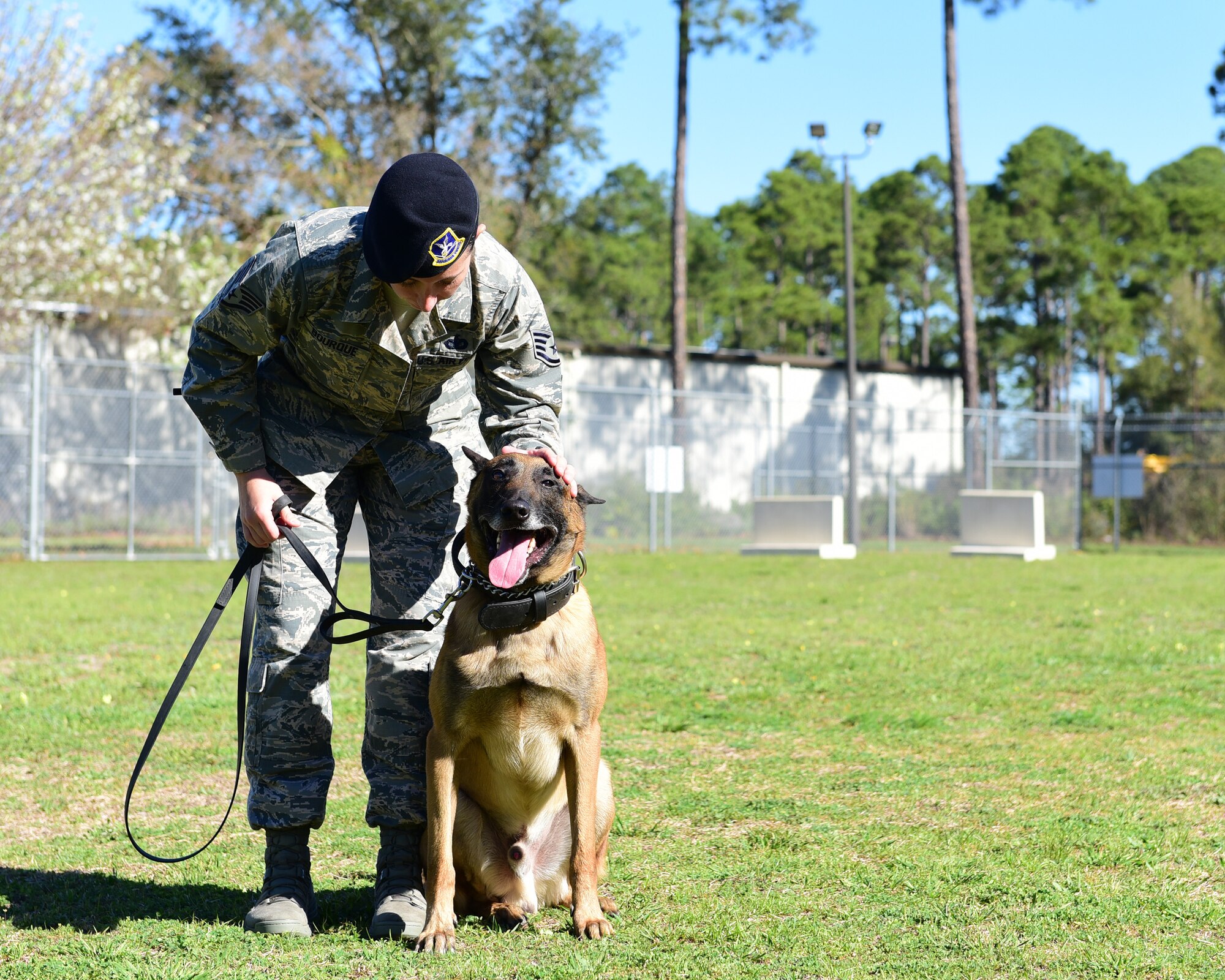 U.S. Air Force Staff Sgt. Caitlin Bourque, 325th Security Forces Squadron military working dog handler, pets her partner, Atila, during an interview at Tyndall Air Force Base, Fla. March 2, 2018. A military working dog handler is responsible for the care and training of his or her service dog, which contributes to combat operations abroad and installation security at home by providing target odor detection for both explosives and drugs. (U.S. Air Force photo by Senior Airman Cody R. Miller/Released)