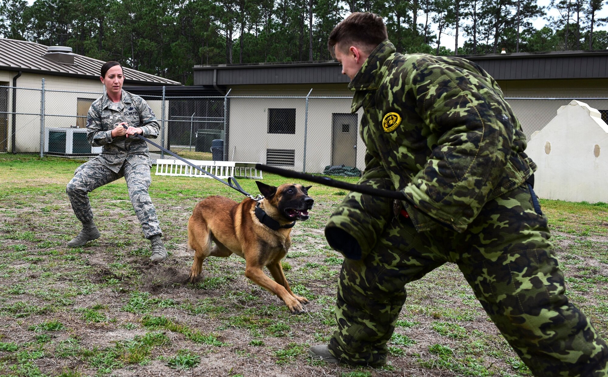 U.S. Air Force Staff Sgt. Caitlin Bourque, 325th Security Forces Squadron military working dog handler, takes part in a demonstration at Tyndall Air Force Base, Feb. 9, 2018. A military working dog handler is responsible for the care and training of his or her service dog, which contributes to combat operations abroad and installation security at home by providing target odor detection for both explosives and drugs. (U.S. Air Force photo by Senior Airman Cody R. Miller/Released)