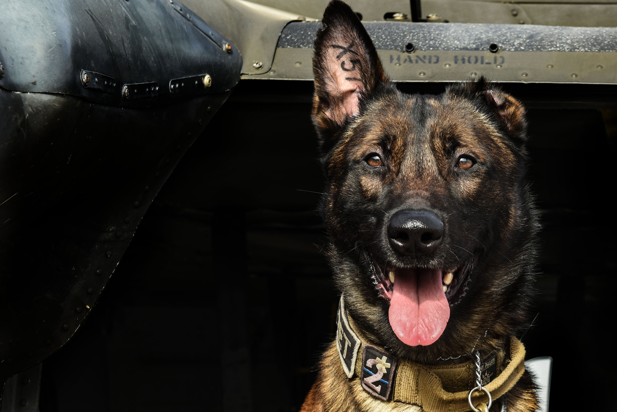 Across the Air Force, military working dogs provide base defense against threats while on patrol, such as drug and explosives detection. In honor of National K-9 Veteran's Day, here are some photo selects from Incirlik's MWD teams.