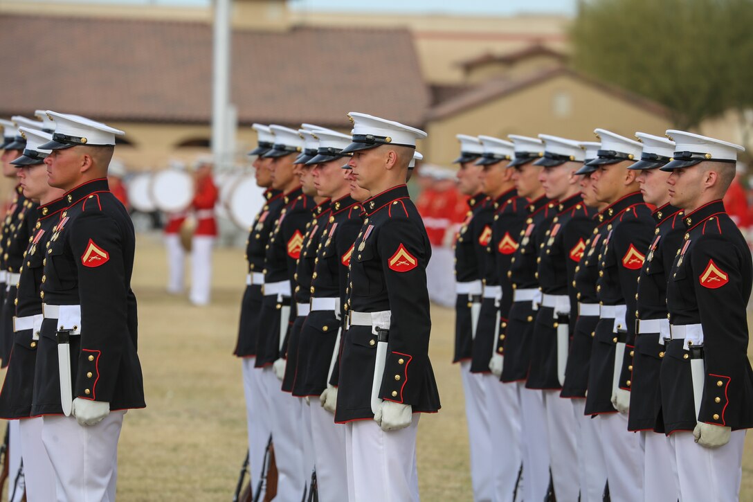 Marines with the U.S. Marine Corps Silent Drill Platoon stand at the position of attention during the first West Coast tour performance at Marine Corps Air Station Yuma, Yuma, Az., March 7, 2018. Col. David A. Suggs, commanding officer, MCAS Yuma, was the hosting official and spoke to the Marines of the BCD after the performance. (Official Marine Corps photo by Cpl. Damon Mclean/Released)