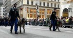 Irish Brigade will lead St. Pat's parade again