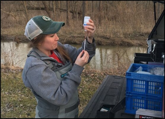 Water Quality Intensive Surveys