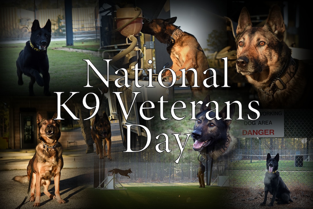 National K9 Veterans Day