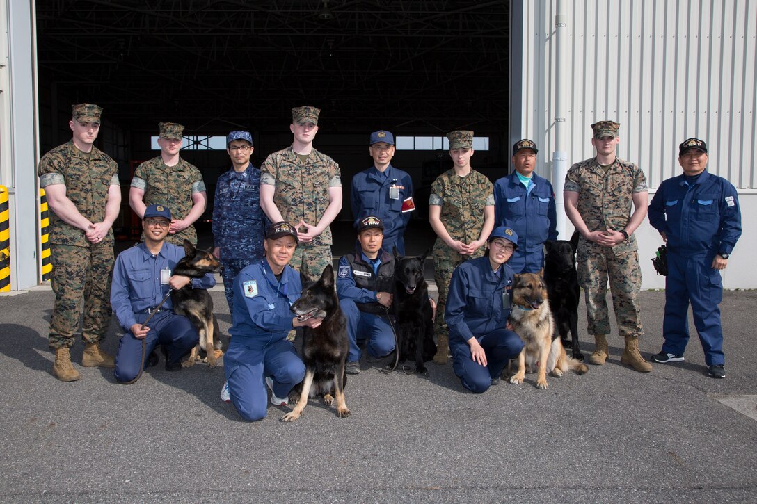 MCAS Iwakuni PMO hosts joint K-9 training