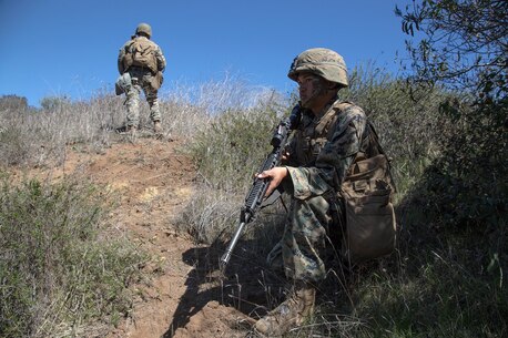 Faces of the Field