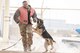 Military working dogs demonstrate controlled aggression tactics