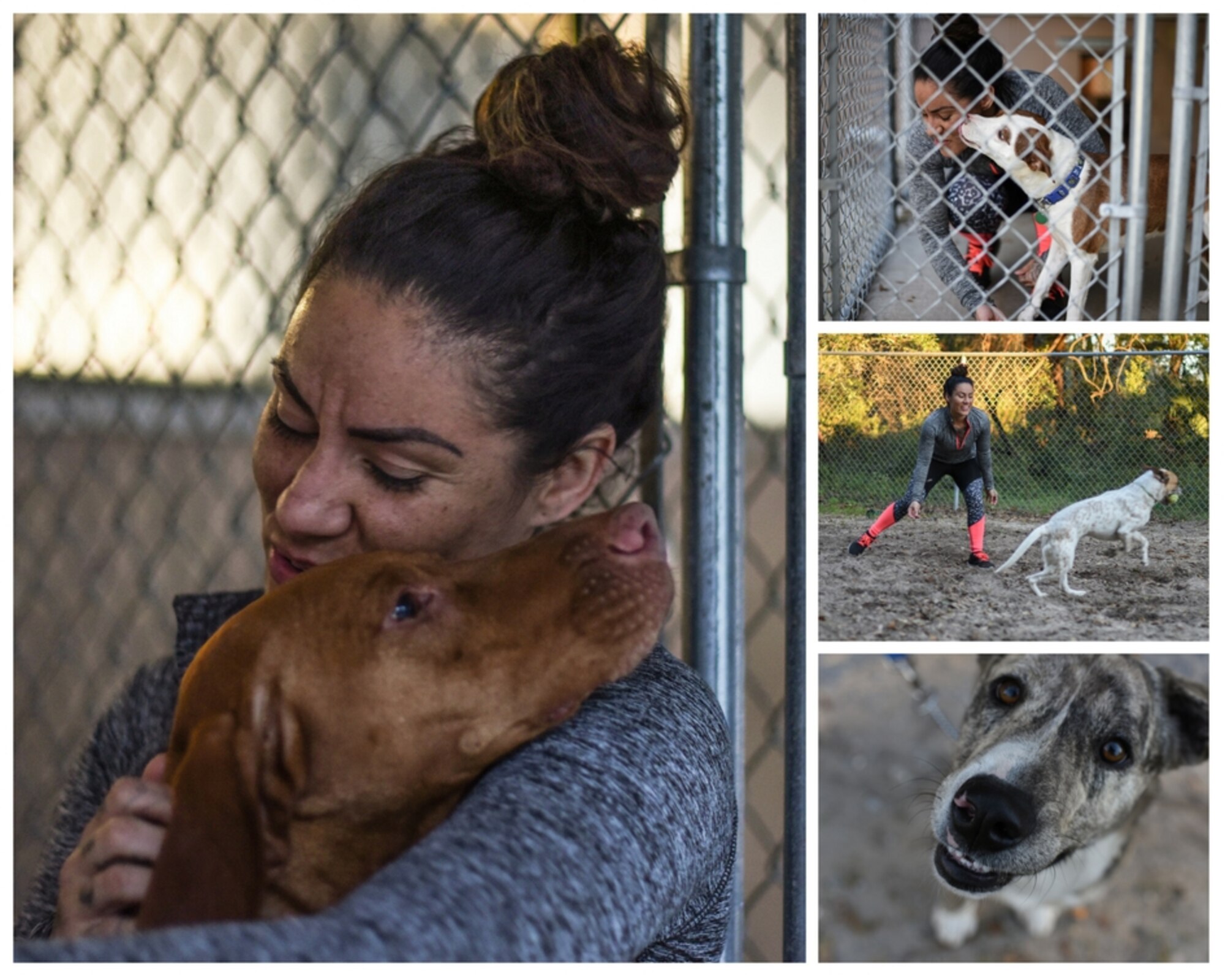 U.S. Navy Petty Officer 2nd Class Clarissa Rodriguez, 33rd Maintenance Squadron yeoman, volunteers at the Pet Welfare Adoption Center March 7, 2018, at Eglin Air Force Base, Fla.