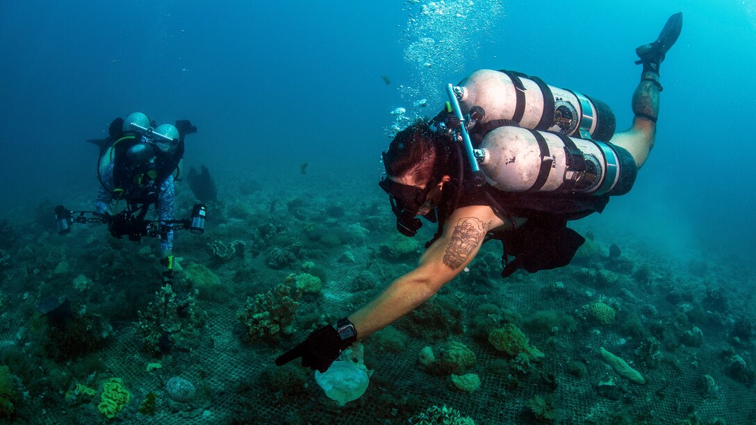 A diver points to a spot on the sea floor as another looks on.