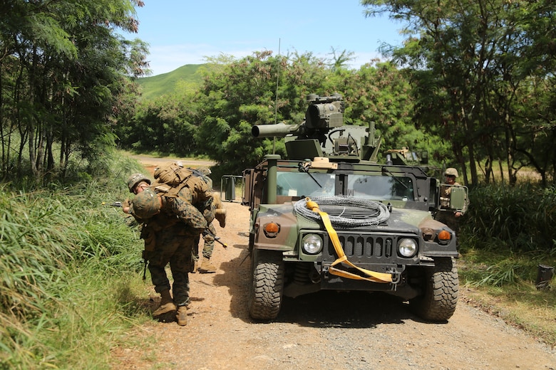 2/3 Completes Bougainville I > 3rd Marine Division > News Article ...