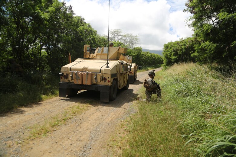 2/3 Completes Bougainville I > 3rd Marine Division > News Article ...