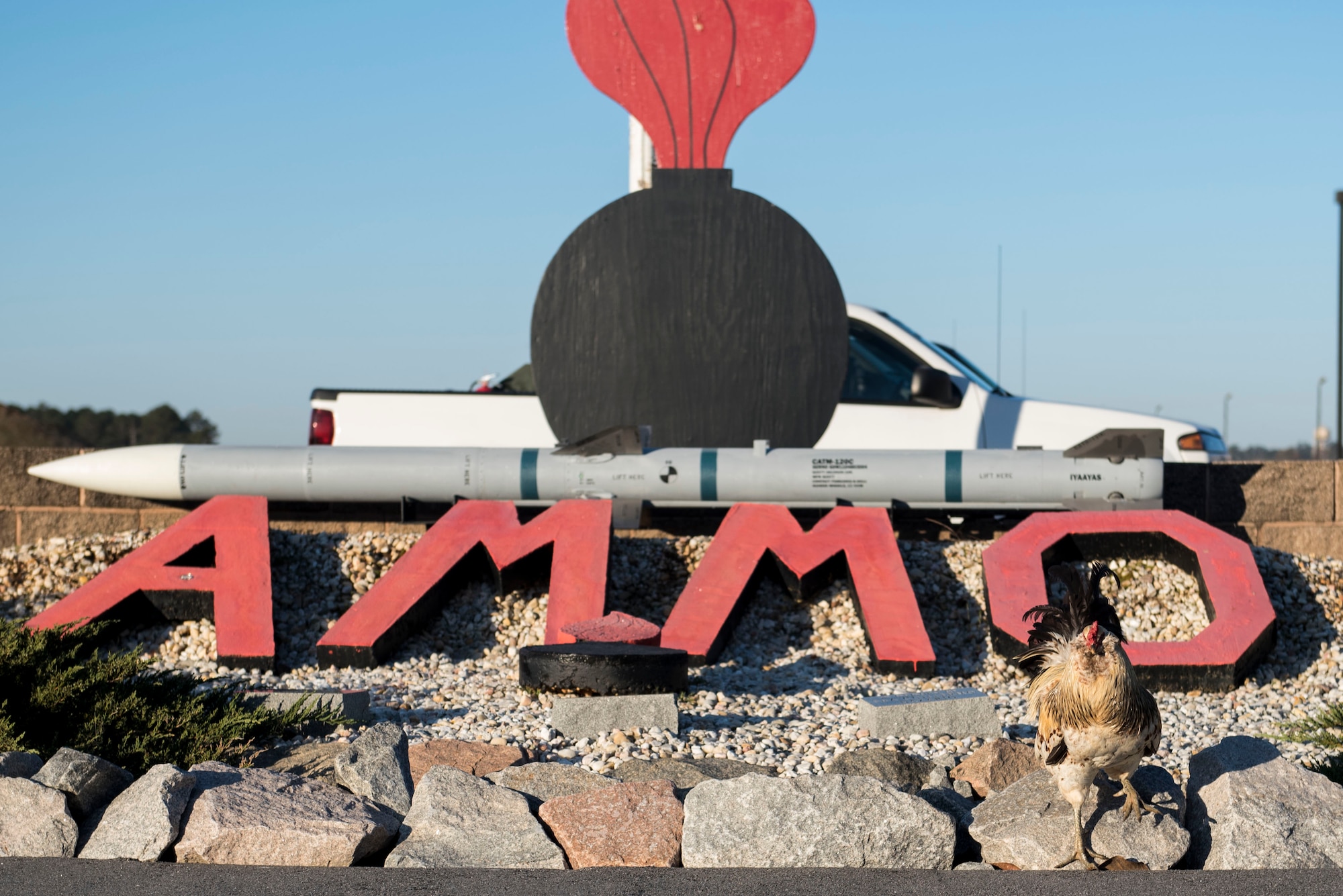 Bullet #7 steps off a rock in front of an ammo sign in the 20th Equipment Maintenance Squadron munitions flight compound at Shaw Air Force Base, S.C., March 15, 2018.