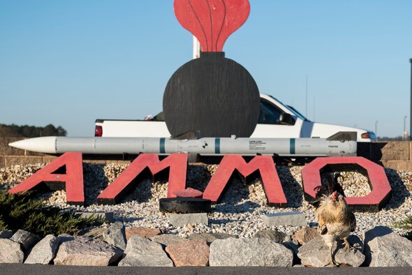 Bullet #7 steps off a rock in front of an ammo sign in the 20th Equipment Maintenance Squadron munitions flight compound at Shaw Air Force Base, S.C., March 15, 2018.