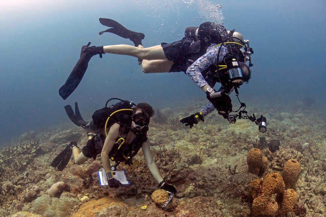 Divers monitor and document progress of transplanted corals.