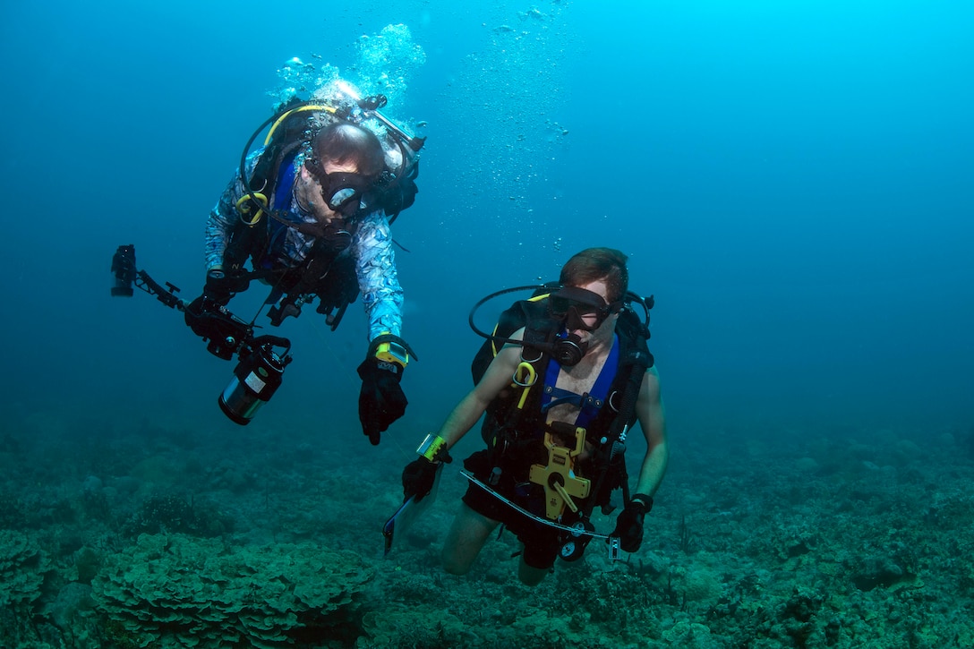 Divers identify different types of coral.