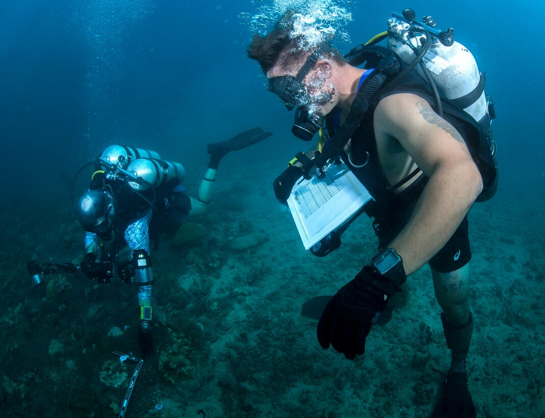 A diver takes notes.