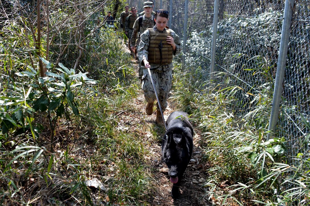 A sailor and her dog hike a trail.
