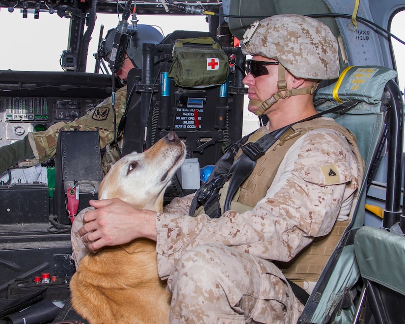 Cpl. Anthony Woodward, a military dog handler with 2nd Marine Expeditionary Force, rides on a HH-60 Black Hawk helicopter as a part of a medical evacuation training at Camp Buehring, Kuwait, March 13, 2018.