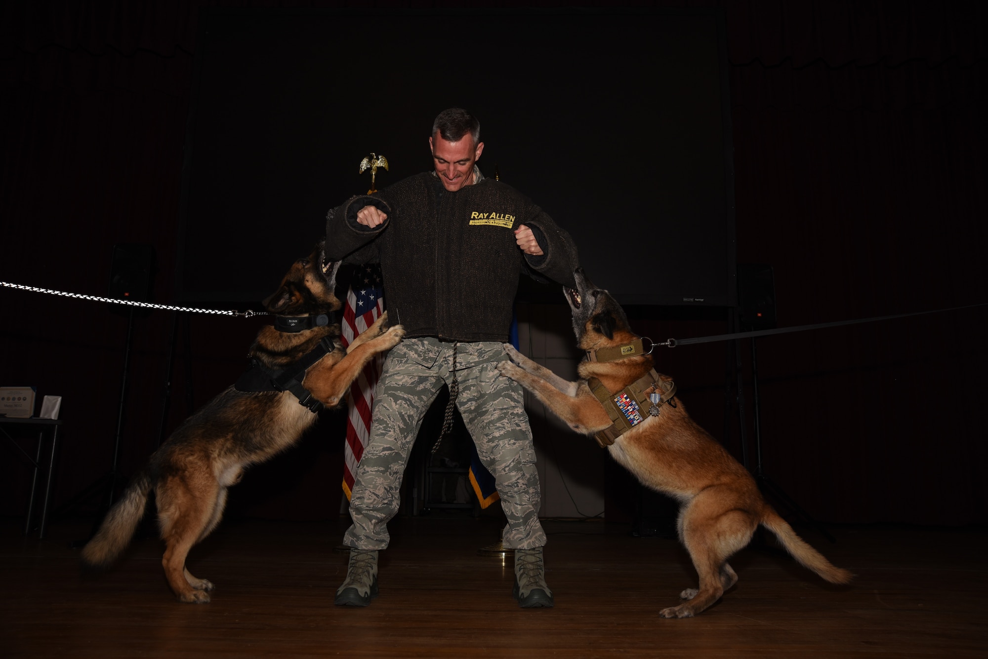 Marky, left, and Astra, 20th Security Forces Squadron military working dogs, perform their final bite during their retirement ceremony as Col. Daniel Lasica, 20th Fighter Wing commander, stands in a bite suit at Shaw Air Force Base, S.C., March 14, 2018.