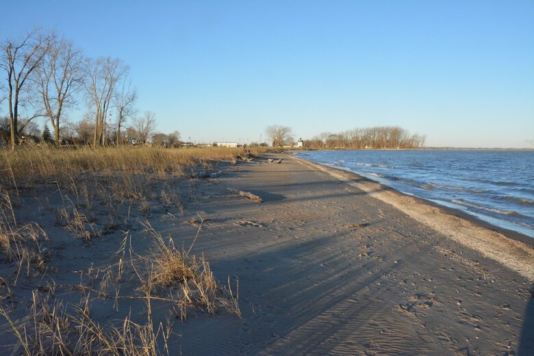 Phragmites overruning a beach area in Port Clinton. The invasive species is negatively impacting the habitat of plant and animal species along the coast. (Picture by Chris Akios)