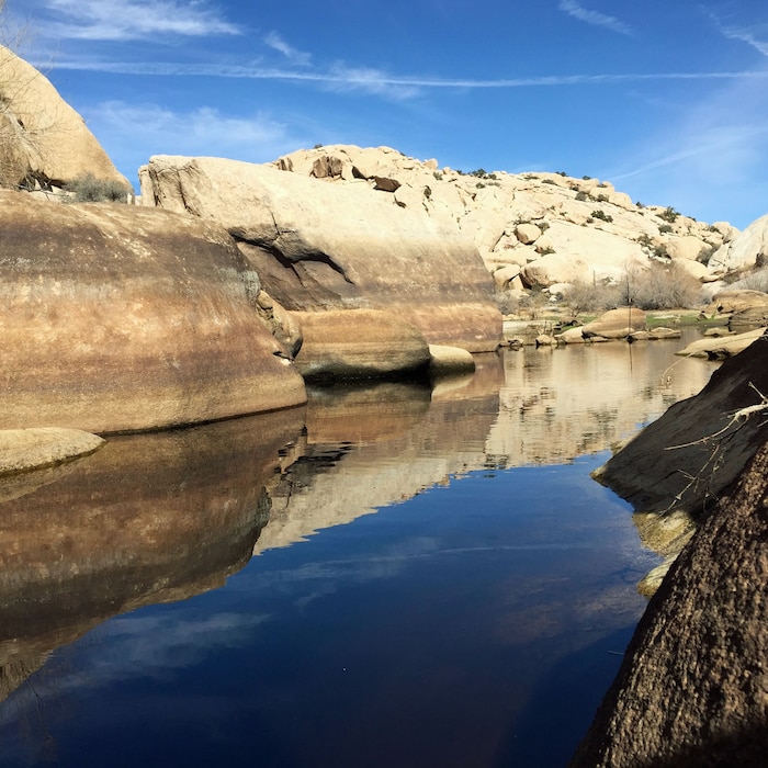A water-storage facility located in Joshua Tree National Park, where hikers often spot Big Horn sheep.