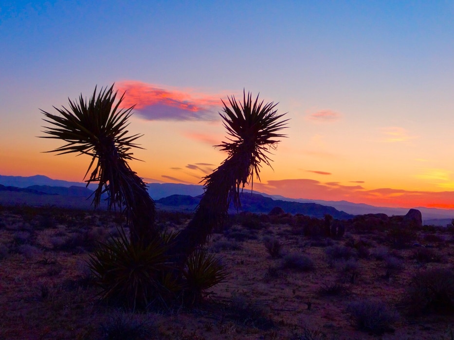 Desert skies are filled with shades of pink and orange during sunset.