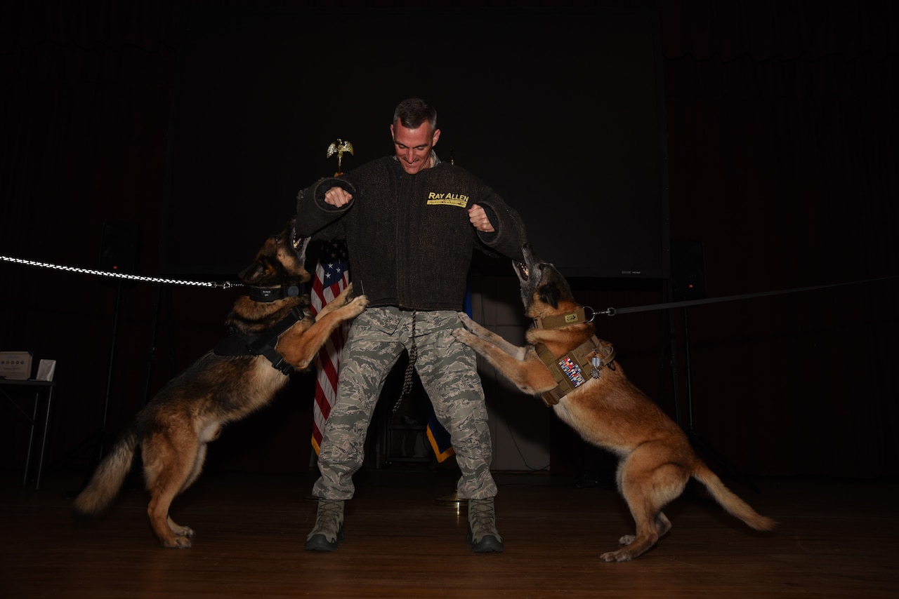 Marky, left, and Astra, 20th Security Forces Squadron military working dogs, perform their final bite during their retirement ceremony as Col. Daniel Lasica, 20th Fighter Wing commander, stands in a bite suit at Shaw Air Force Base, S.C., March 14, 2018.