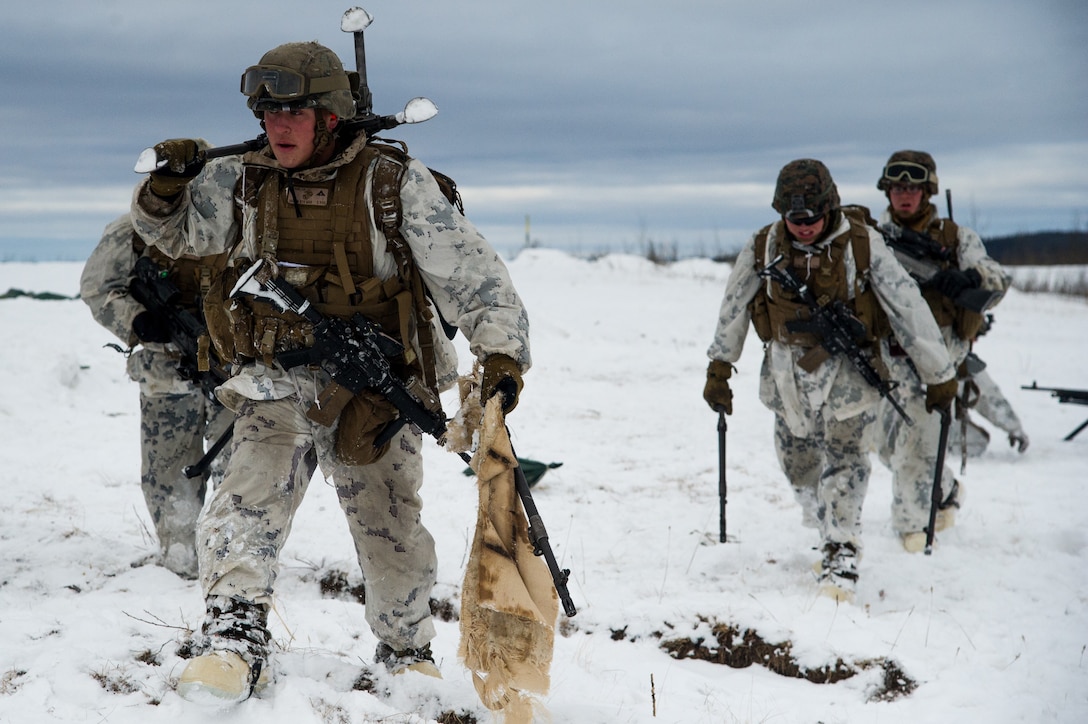 Marines conduct joint live-fire training exercise at Fort Greely, Alaska, March 15, 2018, as part of U.S. Army Alaska–led Joint Force Land Component Command in support of exercise Arctic Edge 18, conducted under authority of U.S. Northern Command (U.S. Air Force/Virginia Lang)