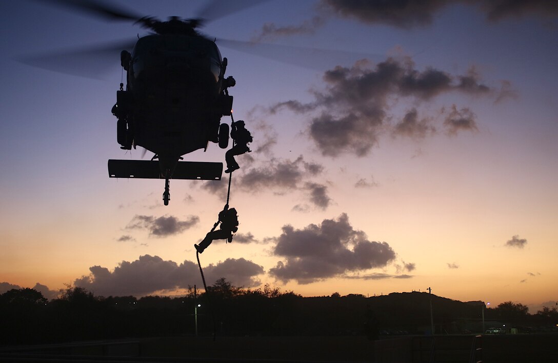 U.S. Marines with Force Reconnaissance Company, 3rd Reconnaissance Battalion, 3rd Marine Division, III Marine Expeditionary Force; British Royal Marines with J Company, 42 Commando and Sailors with Explosive Ordinance Disposal Mobile Unit 5 conduct raids training with a section of MH-60Ss from Helicopter Sea Combat 25 March 20, 2017, in Guam. The units are conducting joint, combined training in order to develop shared standard-of-procedures in a visit, board, search and seizure environment so they can provide a more flexible and mission-ready capability to geographic combatant commanders in the Pacific.