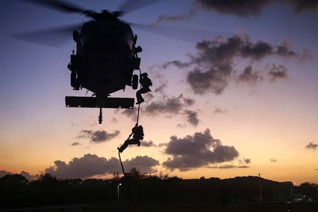 Troops, shown in silhouette, descend on a rope from a helicopter, against a dusky blue and pink sky.