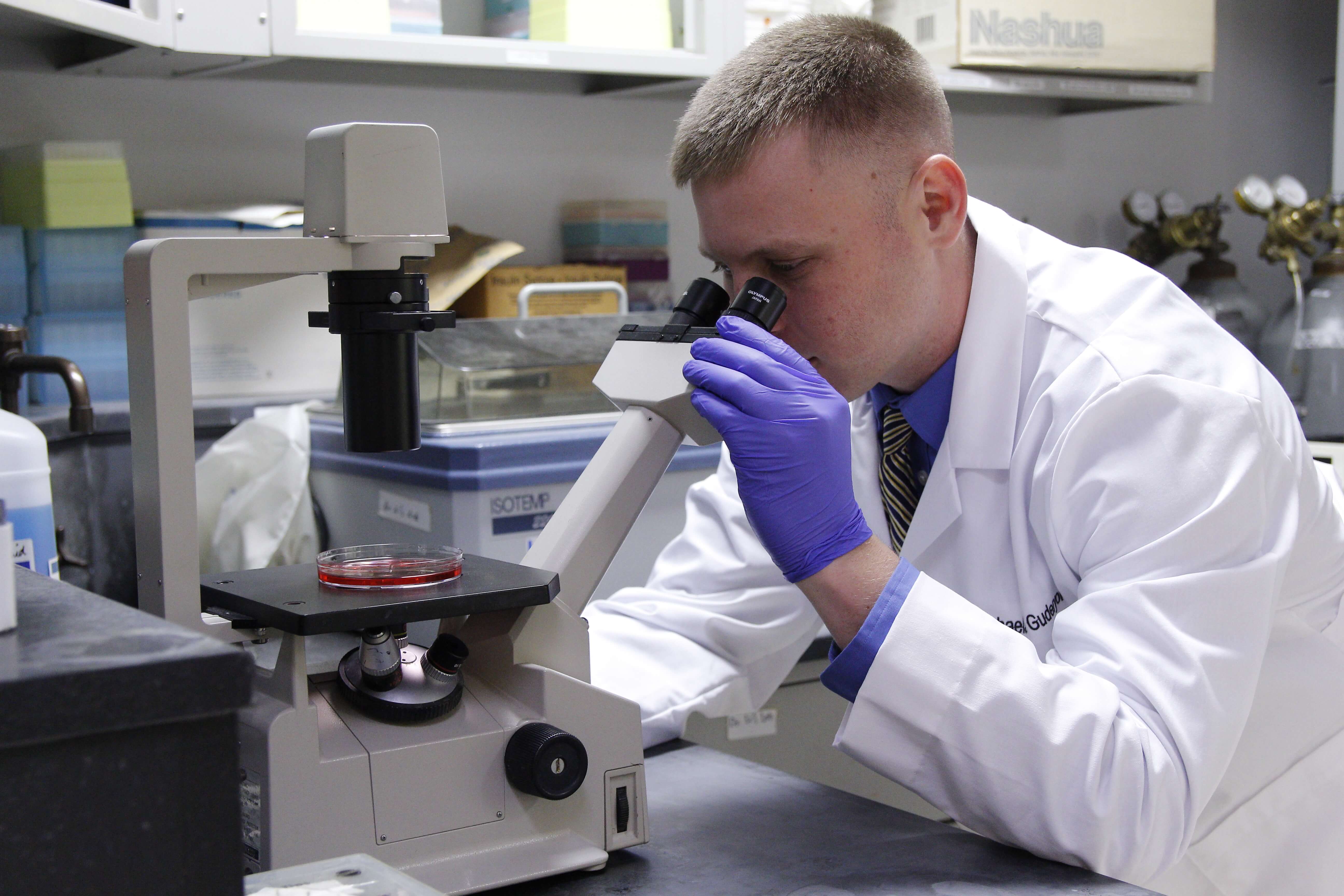 Earthworms and Air Force produce university researcher > Air Force