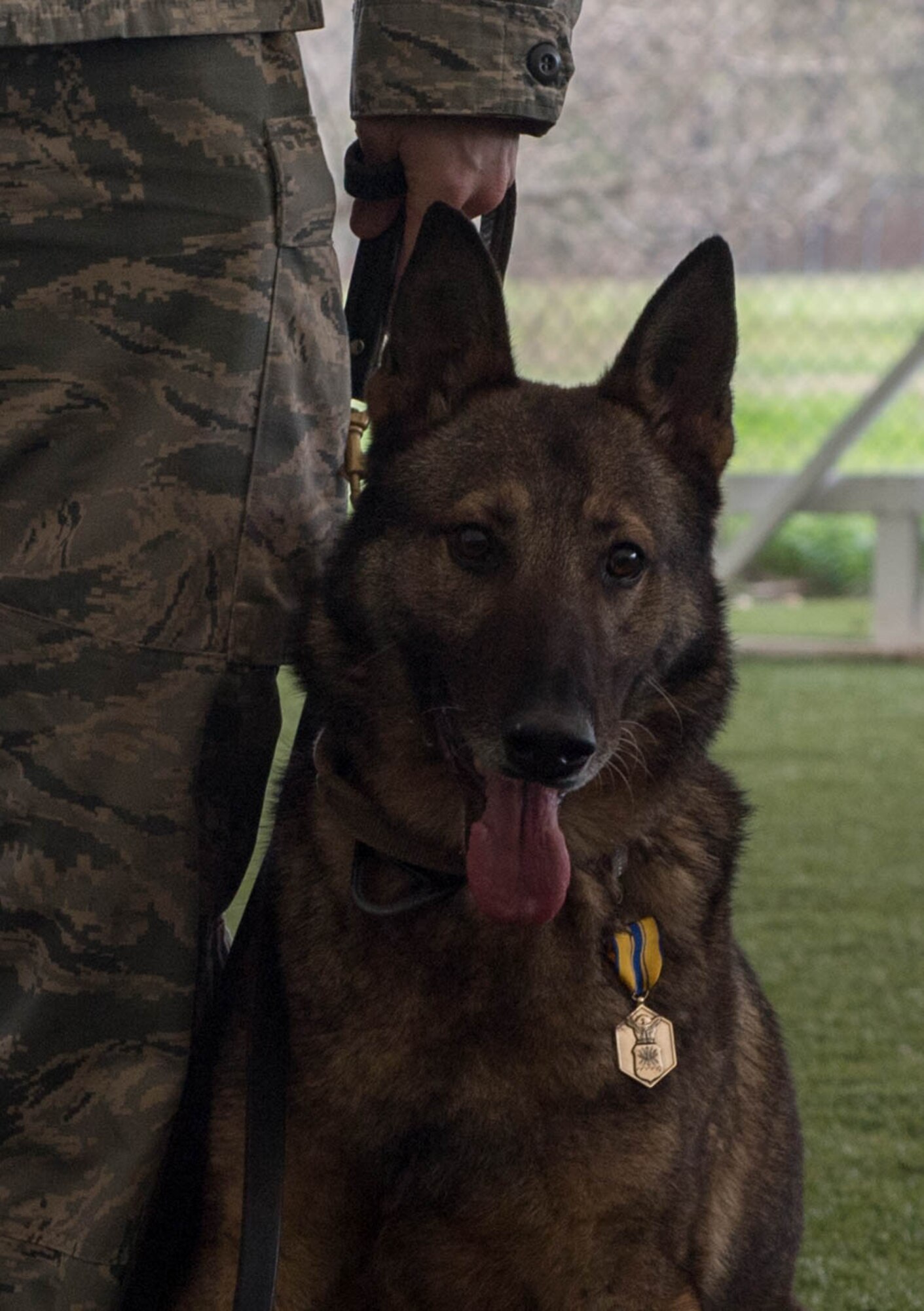 K-9 Heroes: 2nd SFS honors MWD
